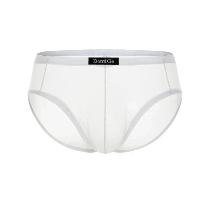 Semitransparent micro-mesh sheer fabric texture — lightweight breathable DomiGe briefs White 3D