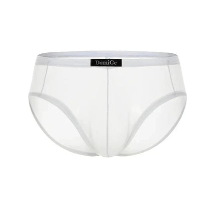 Semitransparent micro-mesh sheer fabric texture — lightweight breathable DomiGe briefs White 3D