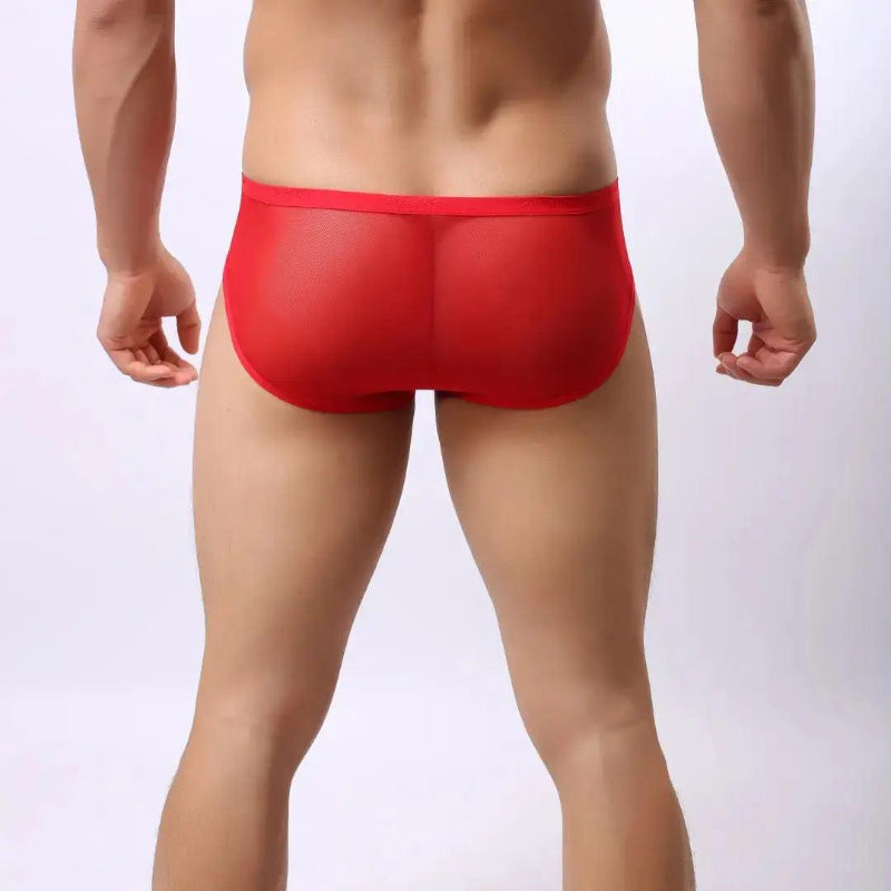 Sheer briefs back view — minimal coverage seamless DomiGe Red