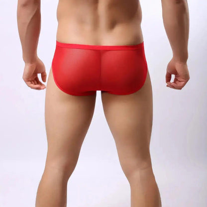 Sheer briefs back view — minimal coverage seamless DomiGe Red