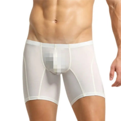 Seobean Men's Low Rise Nylon Boxer Briefs 10202