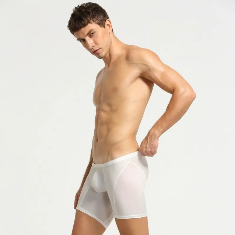 Seobean Men's Low Rise Nylon Boxer Briefs 10202