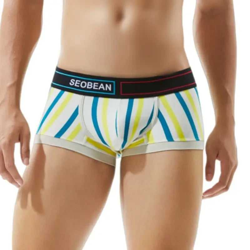 Seobean Low Rise Striped Boxer Briefs Men Cotton Trunk Underwear