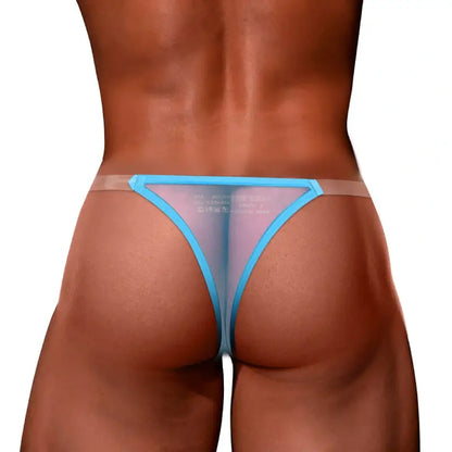 Blue mesh thong rear view showing minimal t-back - Adannu AD319