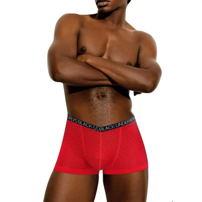 Adannu Adannu Men's Breathable Mesh V-Style Waist Boxer Shorts OR6300