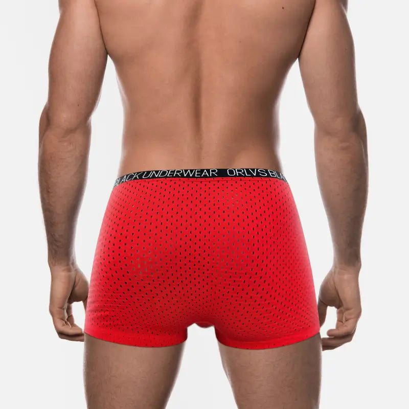 Adannu Adannu Men's Breathable Mesh V-Style Waist Boxer Shorts OR6300