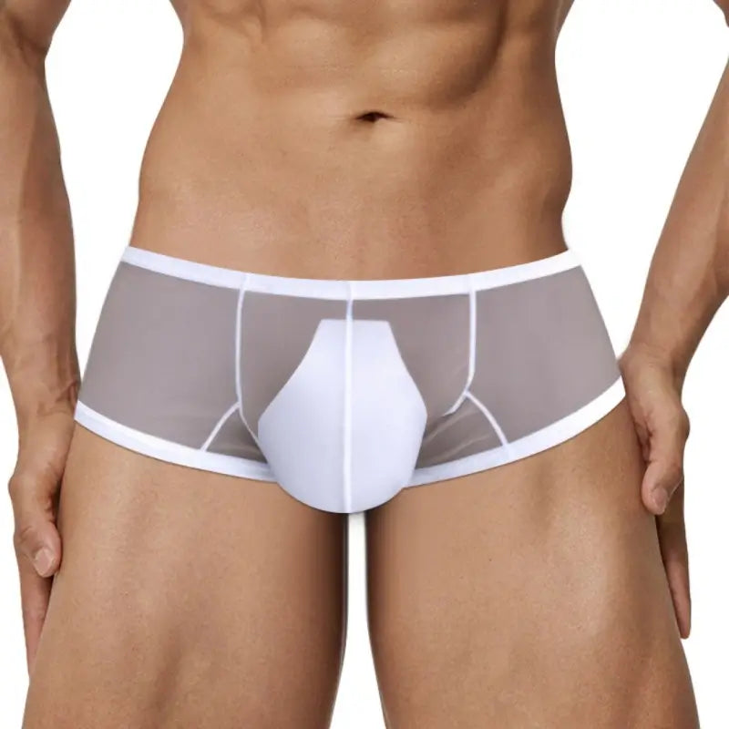 Adannu Men's Trunk Men's Ultra-Sheer No-Waistband Trunk | Sexy Low Rise Mesh Underwear