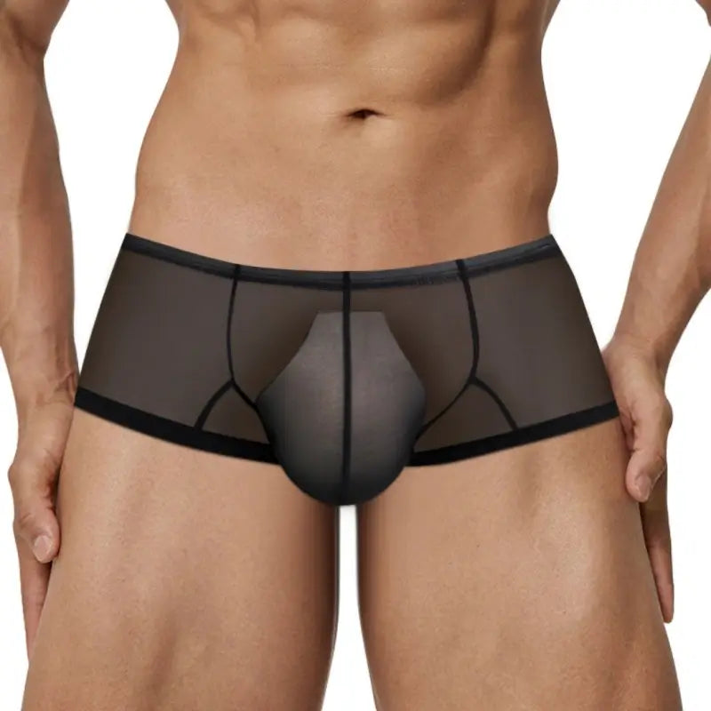 Adannu Men's Trunk Men's Ultra-Sheer No-Waistband Trunk | Sexy Low Rise Mesh Underwear