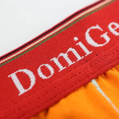 DomiGe logo elastic waistband detail — ice silk boxer brief blue	