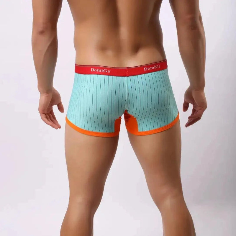 DomiGe ice silk boxer brief blue rear view — stay-put legs clean finish model	