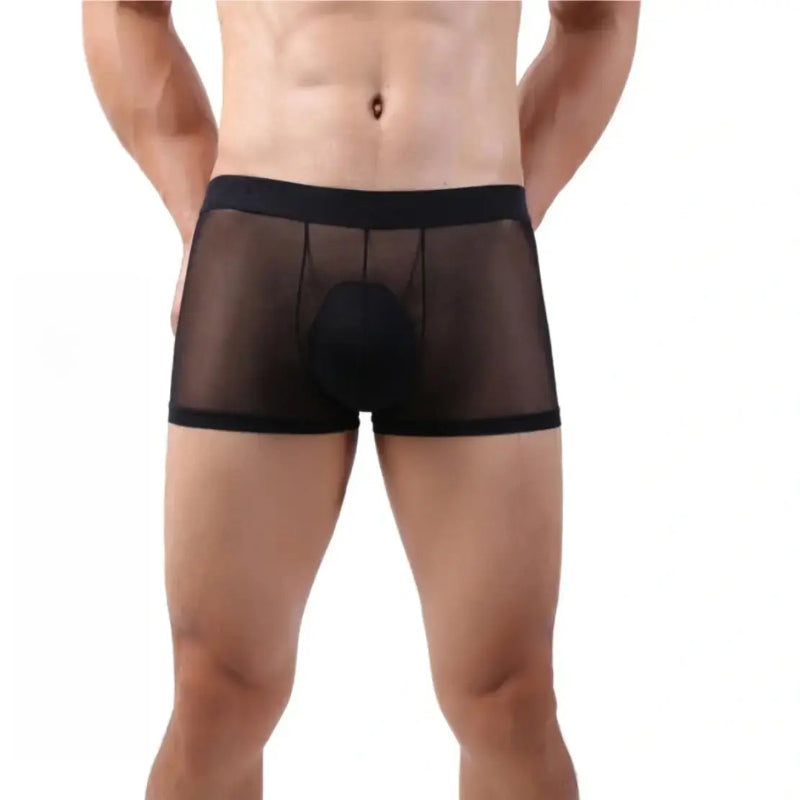 DomiGe sheer low-rise boxer brief black front view — semi-transparent fabric contour pouch model	