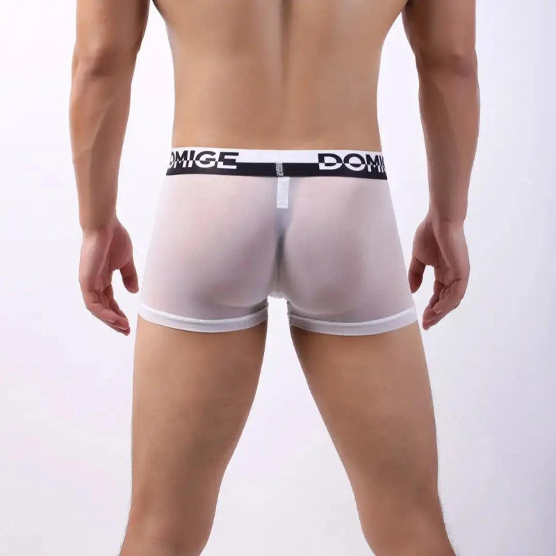 DomiGe sheer low-rise boxer brief white rear view — stay-put leg openings clean finish model	