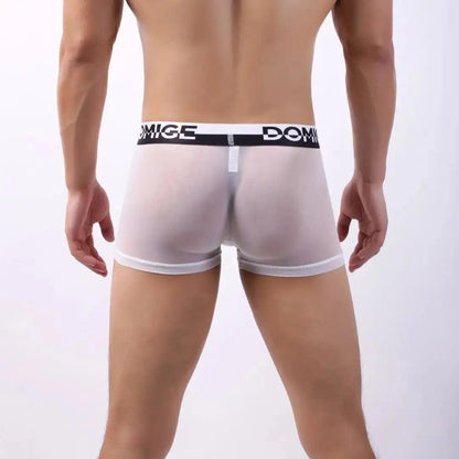 DomiGe sheer low-rise boxer brief white rear view — stay-put leg openings clean finish model	