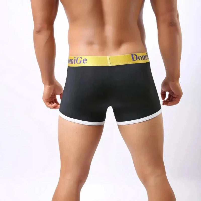 DomiGe U-pouch boxer brief black rear view — stay-put legs clean finish model	