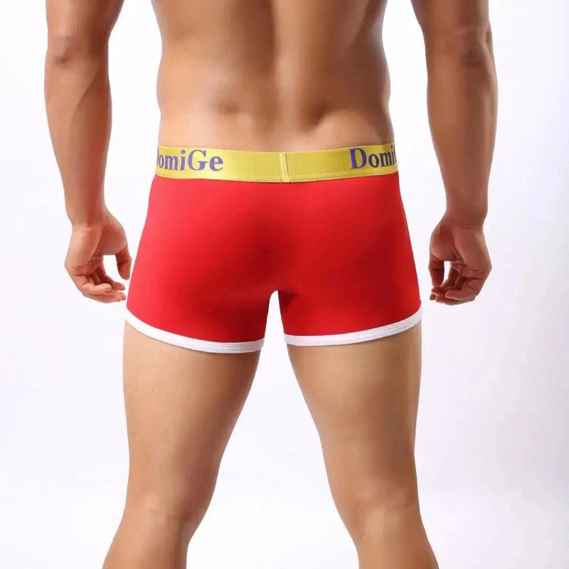DomiGe U-pouch boxer brief red rear view — stay-put legs clean finish model	
