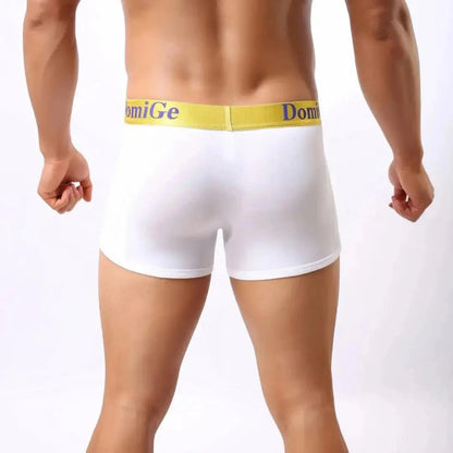 DomiGe U-pouch boxer brief white rear view — stay-put legs clean finish model	
