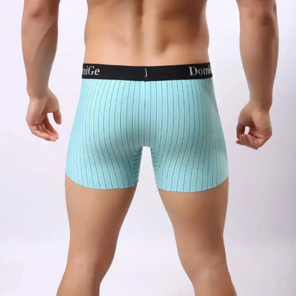 DomiGe striped boxer shorts sky blue rear view — seamless leg openings clean finish model	
