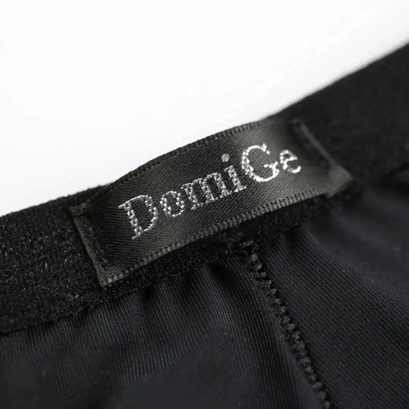 DomiGe logo elastic waistband detail — ice silk nylon briefs black	