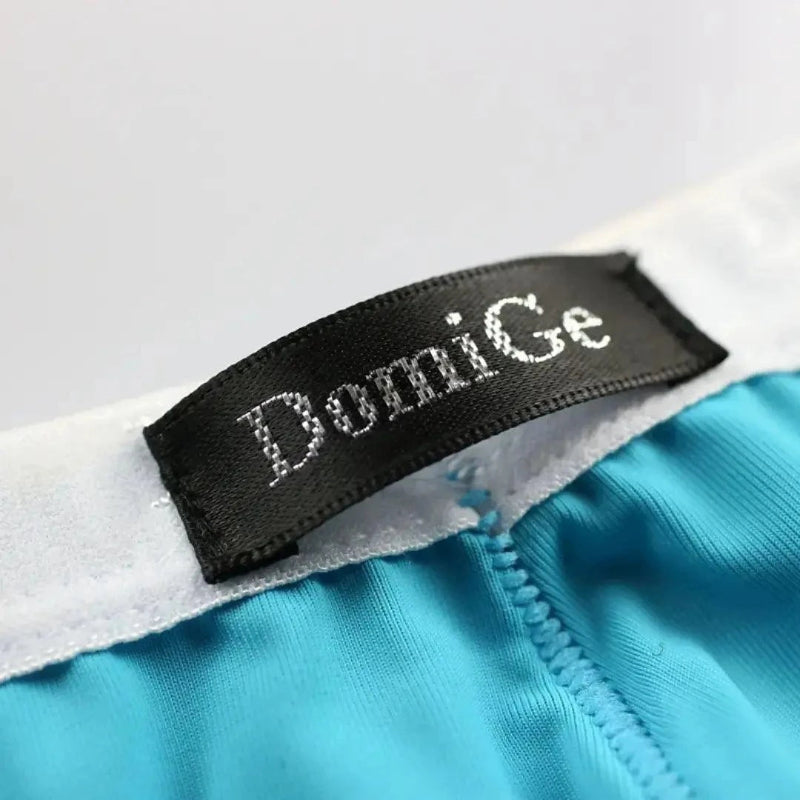 DomiGe logo elastic waistband detail — ice silk nylon briefs blue	