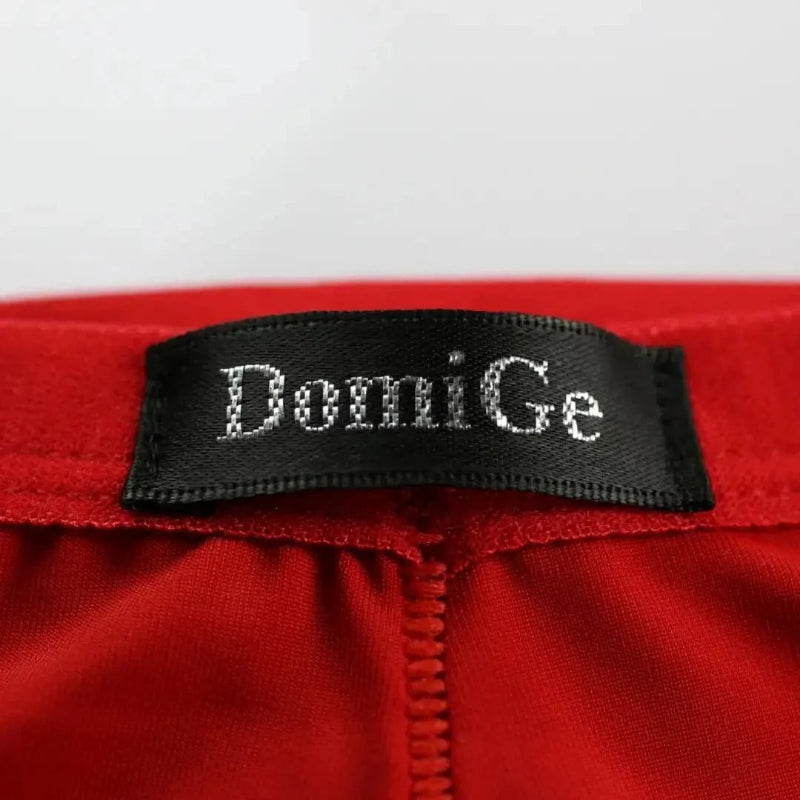 DomiGe logo elastic waistband detail — ice silk nylon briefs red	