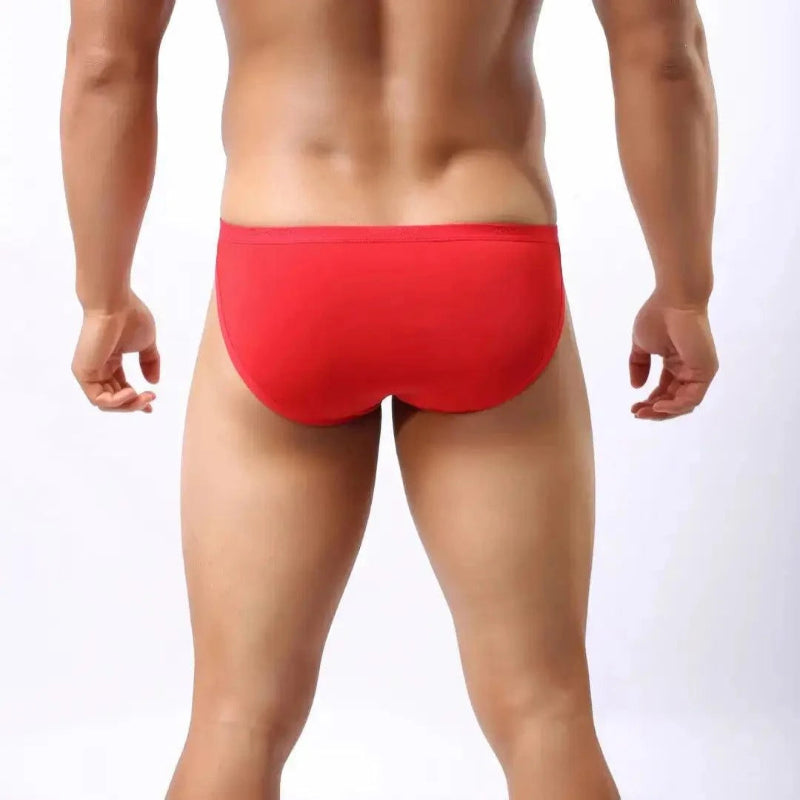 DomiGe ice silk nylon briefs red rear view — seamless no-stitch back clean finish model	