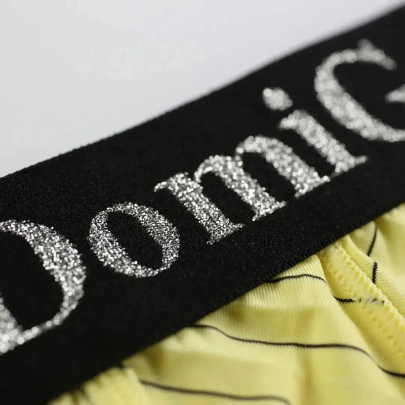 DomiGe silver logo elastic waistband detail — ice silk striped brief yellow	