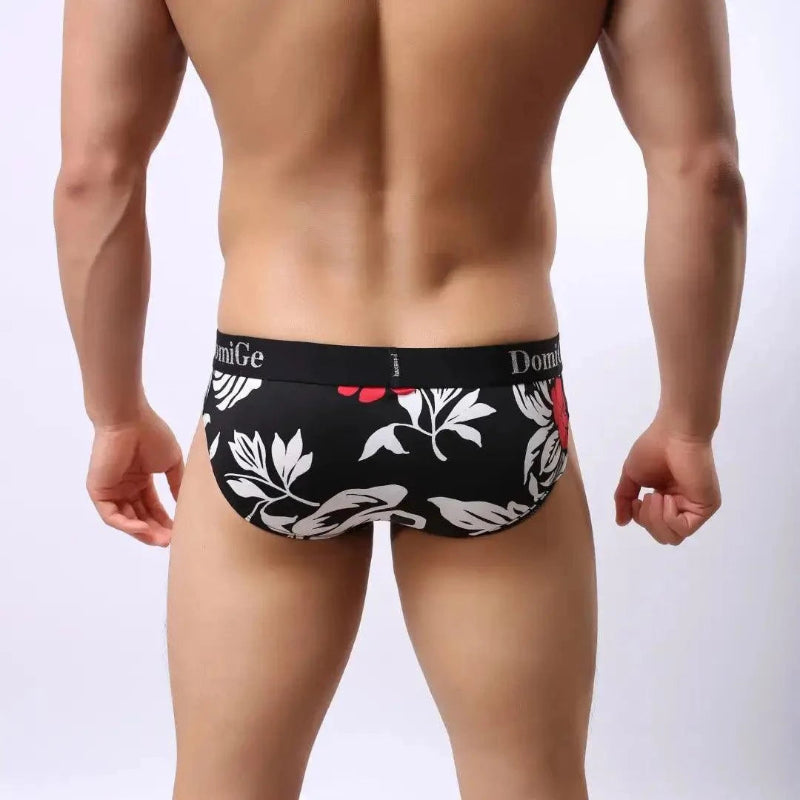 DomiGe black printed briefs rear view — full coverage clean finish model	