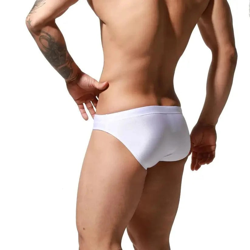 Desmiit Desmiit Swimwear Beachwear Men's Sexy Low-Rise Swim Briefs with Embroidered