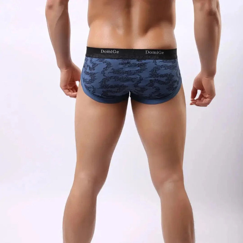 DomiGe bamboo fiber briefs in blue — model rear	