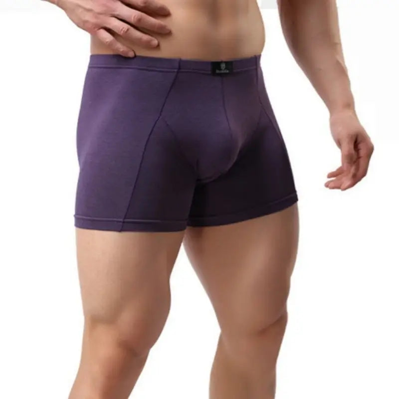 DomiGe Boxer Shorts DomiGe Men's Eco-Friendly Boxer Shorts | Plant-Based Fiber | Sizes M–4XL Purple Front