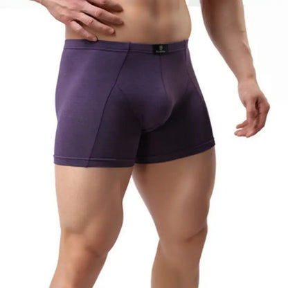 DomiGe Boxer Shorts DomiGe Men's Eco-Friendly Boxer Shorts | Plant-Based Fiber | Sizes M–4XL Purple Front