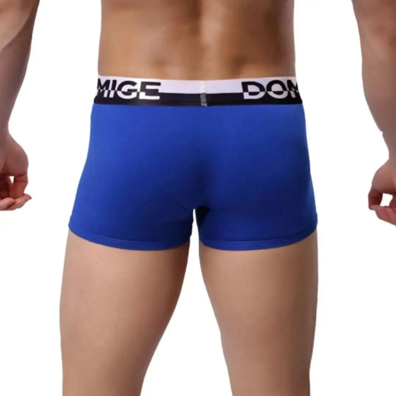 DomiGe cotton boxer briefs turtle shell pouch in blue — model rear view showing full back coverage	