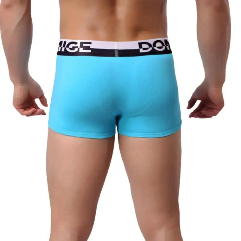 DomiGe cotton boxer briefs turtle shell pouch in sky blue — model rear view showing full back coverage	