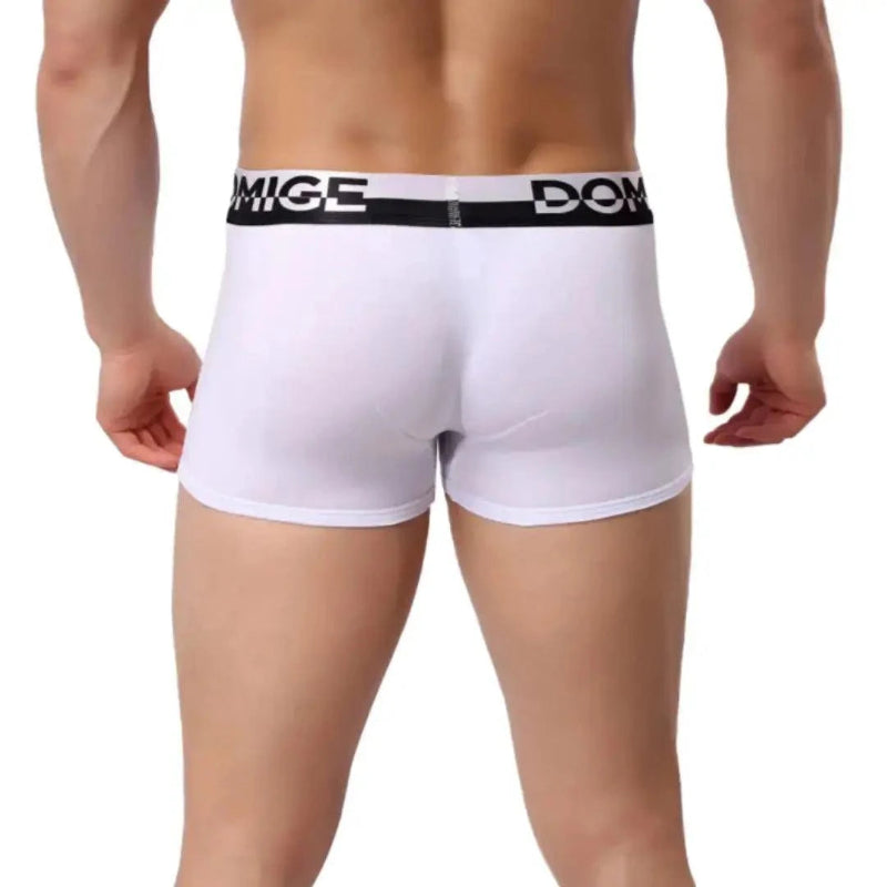 DomiGe cotton boxer briefs turtle shell pouch in white — model rear view showing full back coverage	