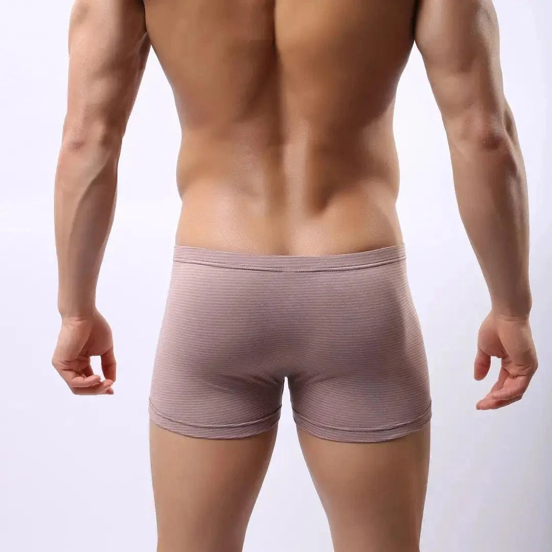 DomiGe DomiGe Compression Boxers in Light Brown Male Underwear