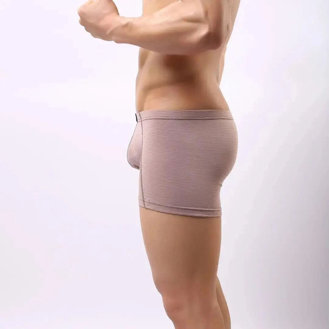 DomiGe DomiGe Compression Boxers in Light Brown Male Underwear