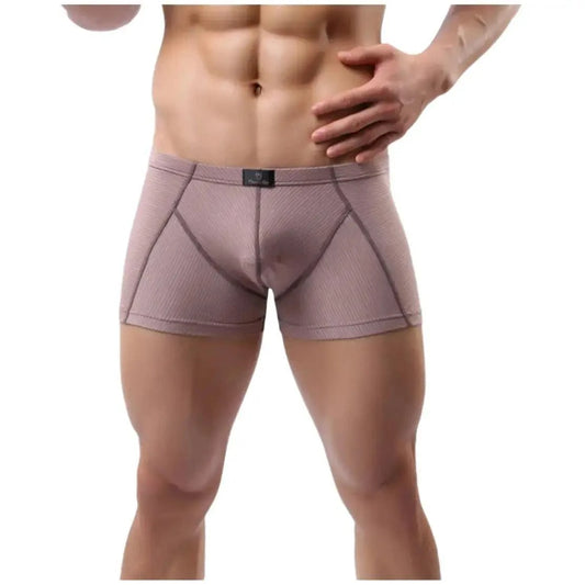 DomiGe DomiGe Compression Boxers in Light Brown Male Underwear