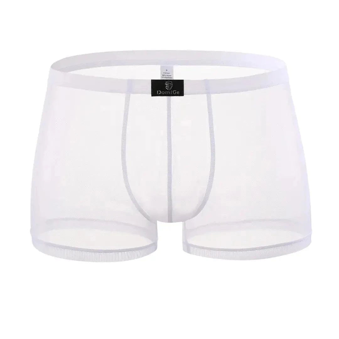 DomiGe DomiGe Male Underwear Transparent Boxers Sheer Men Sexy Boxer Shorts