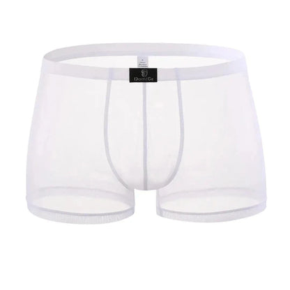 DomiGe DomiGe Male Underwear Transparent Boxers Sheer Men Sexy Boxer Shorts