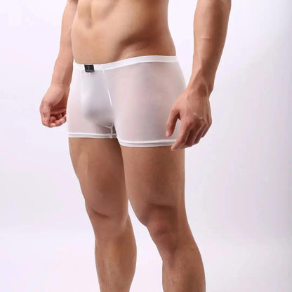 DomiGe DomiGe Male Underwear Transparent Boxers Sheer Men Sexy Boxer Shorts