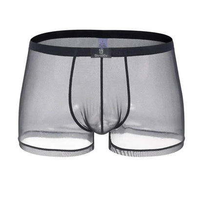 DomiGe DomiGe Male Underwear Transparent Boxers Sheer Men Sexy Boxer Shorts