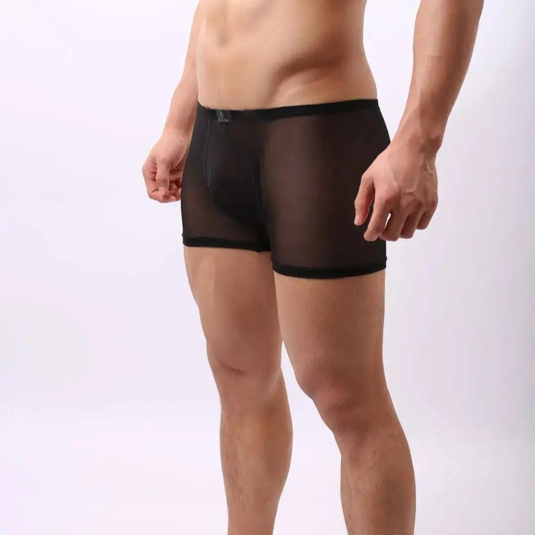 DomiGe DomiGe Male Underwear Transparent Boxers Sheer Men Sexy Boxer Shorts
