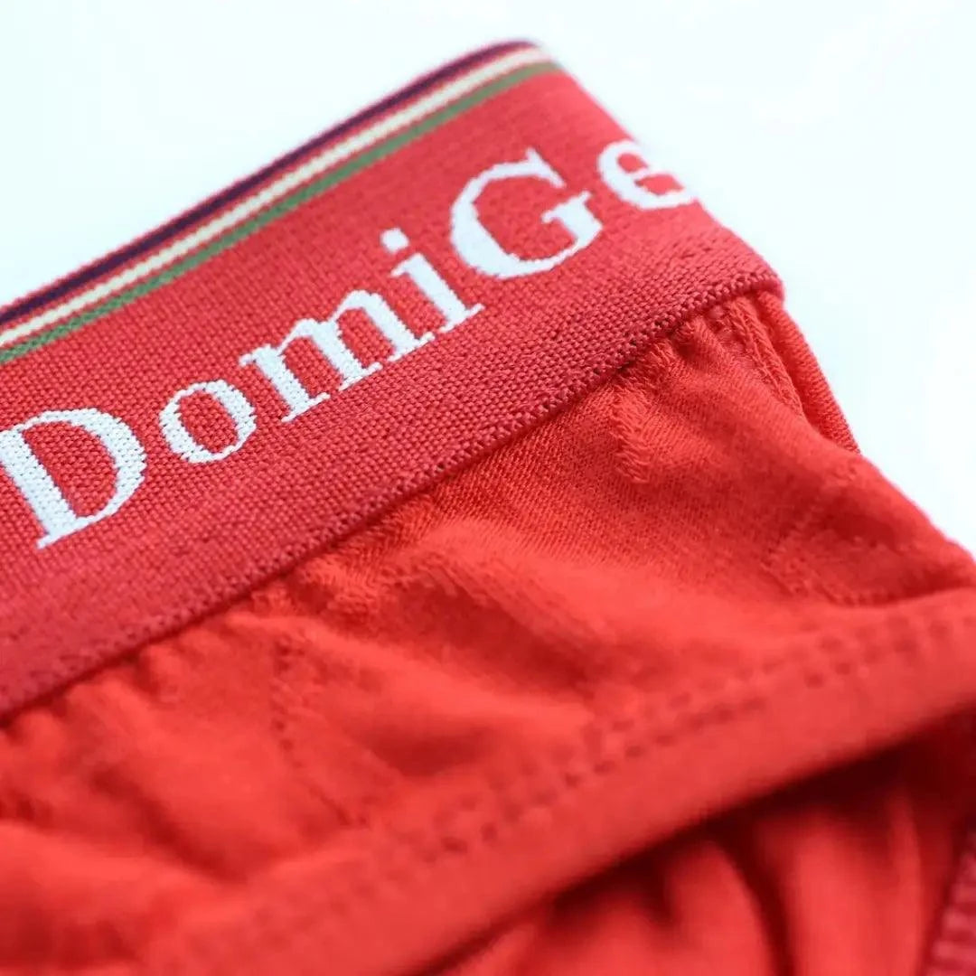 DomiGe DomiGe Men's Bamboo Briefs Comfort Logo Waistband Male Underwear