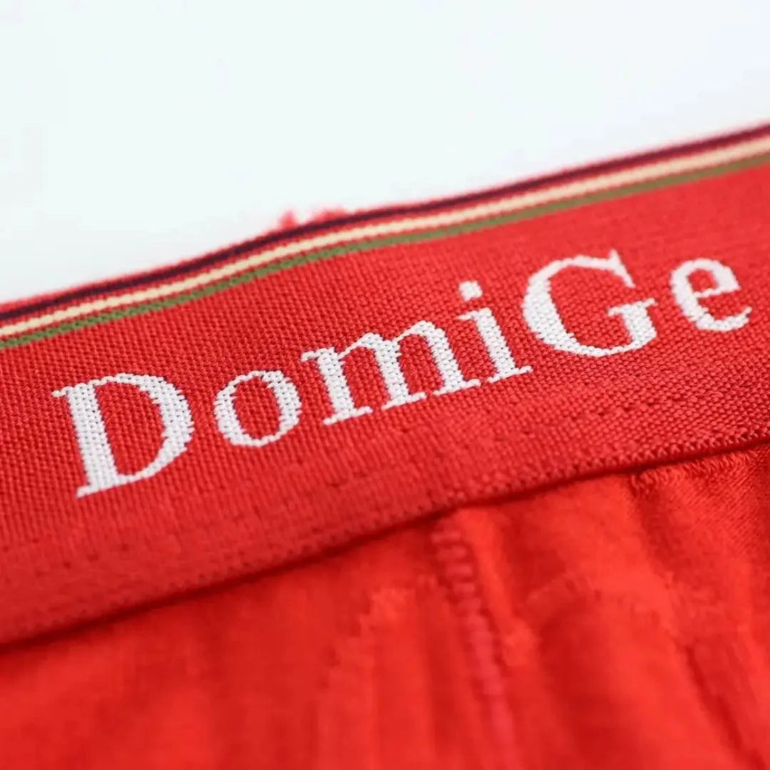 DomiGe DomiGe Men's Bamboo Briefs Comfort Logo Waistband Male Underwear