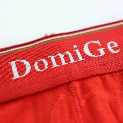DomiGe DomiGe Men's Bamboo Briefs Comfort Logo Waistband Male Underwear