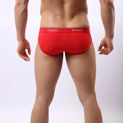 DomiGe DomiGe Men's Bamboo Briefs Comfort Logo Waistband Male Underwear