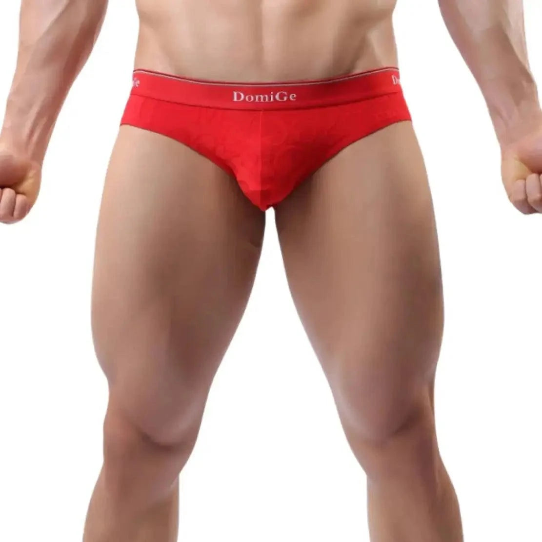 DomiGe DomiGe Men's Bamboo Briefs Comfort Logo Waistband Male Underwear