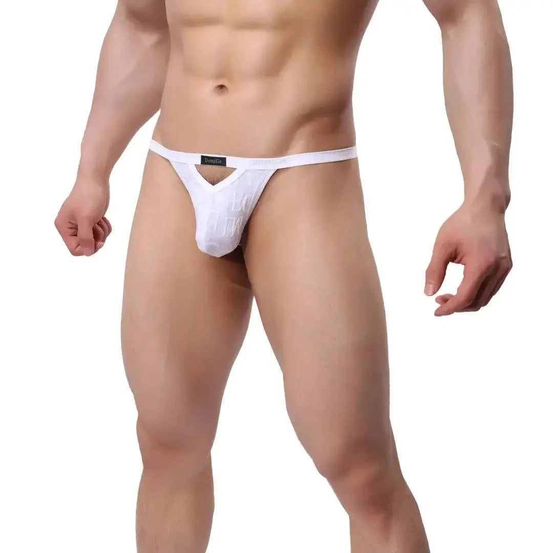 DomiGe DomiGe Men's Bamboo Fiber Thong V-Cut Bamber T-Back