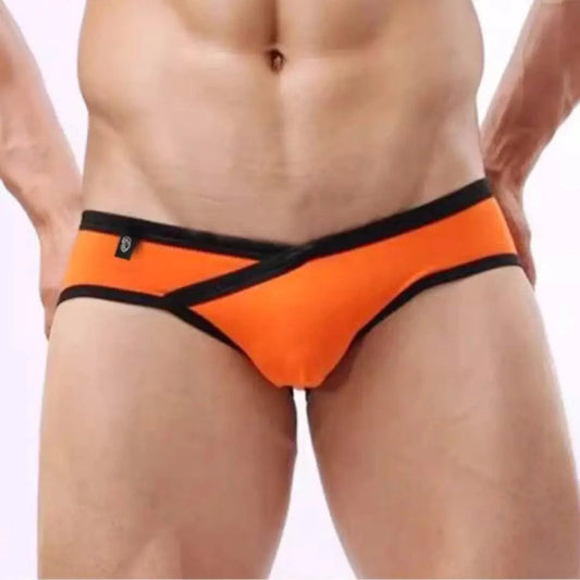 DomiGe DomiGe Men's Cotton Underwear Lycra Briefs with V-Shaped Low-Rise