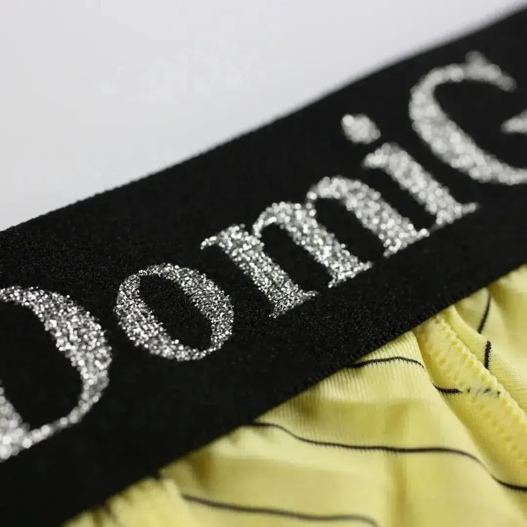 DomiGe DomiGe Men's Elastane Ice Silk Briefs - Premium Supportive Comfort Underwear
